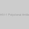 Human Anti-HIV-1 Polyclonal Antibody (500 µg)